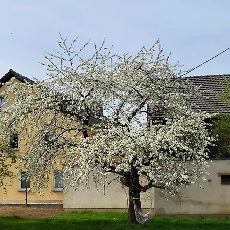 Im Sanierten Denkmal Max 5 Personen Fewo2