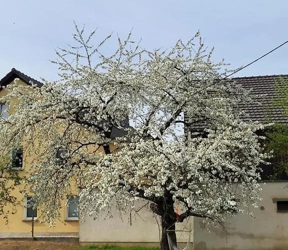 Im Sanierten Denkmal Max 5 Personen Fewo2